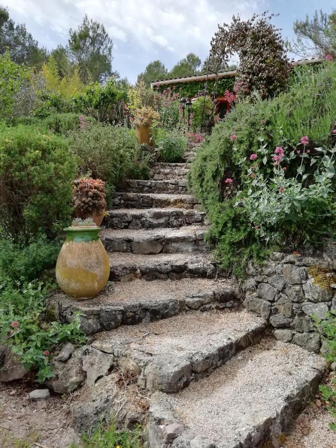 Chambre D'Hote Le Mas Des Romarins Les Arcs-sur-Argens 外观 照片