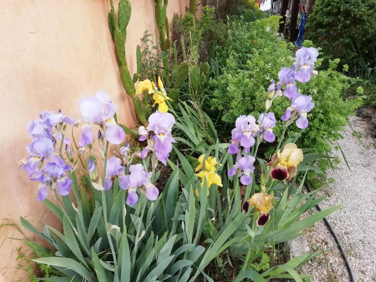 Chambre D'Hote Le Mas Des Romarins Les Arcs-sur-Argens 外观 照片