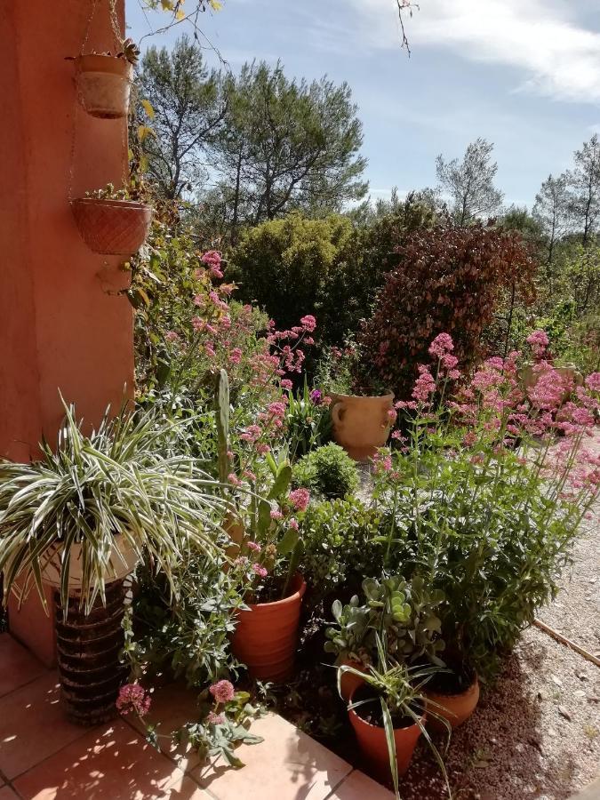 Chambre D'Hote Le Mas Des Romarins Les Arcs-sur-Argens 外观 照片