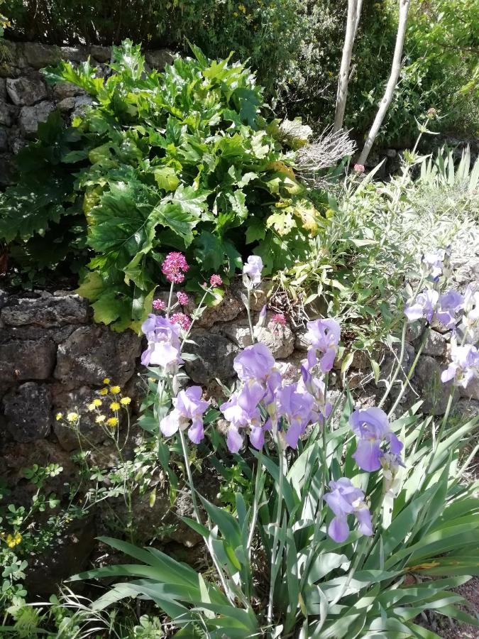 Chambre D'Hote Le Mas Des Romarins Les Arcs-sur-Argens 外观 照片