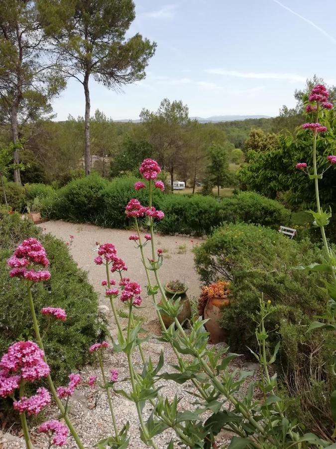Chambre D'Hote Le Mas Des Romarins Les Arcs-sur-Argens 外观 照片